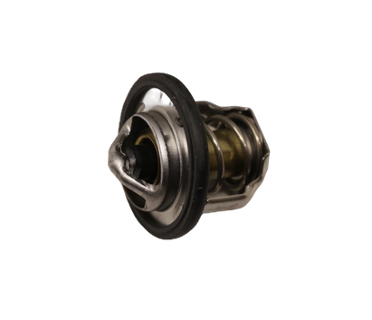 Bad Boy 119717-49800 THERMOSTAT 71