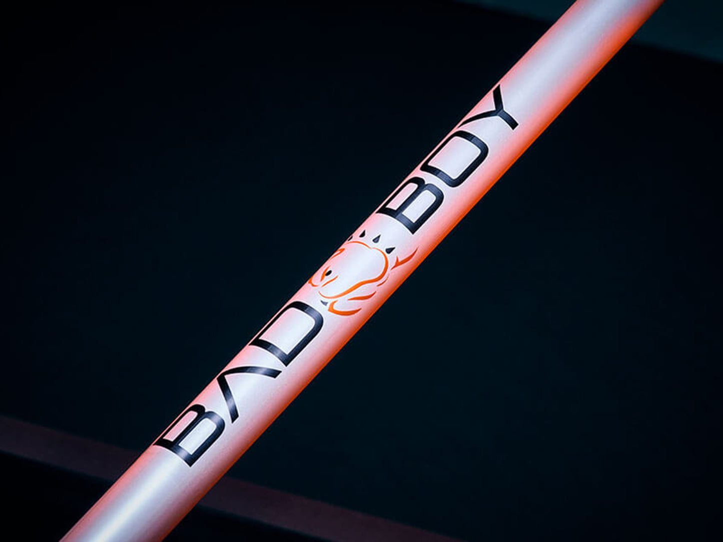 Bad Boy Tools ED254 Professional Gas Powered Edger For Sale -  088-7672-00